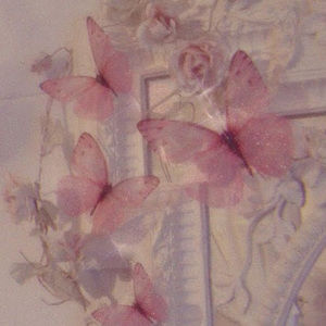 Meet your Posher, Christy